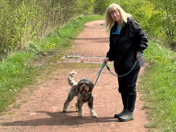 Photo of Willow out for a walk