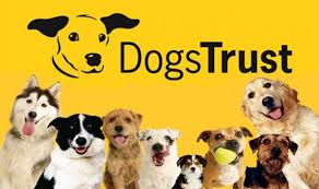 Image of The Dogs Trust and dogs